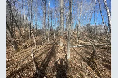 Lots 129-131 Ski Chalet Drive, Breezy Point, MN 56472 - Photo 5
