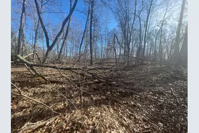 Lots 129-131 Ski Chalet Drive, Breezy Point, MN 56472 - Photo 7