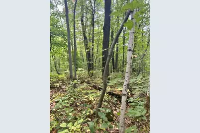 Xxx Pebble Pass, Cushing Township, MN 56443 - Photo 1