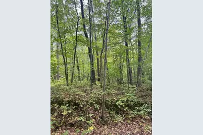 Xxx Lake Camile Rd, Cushing Township, MN 56443 - Photo 1