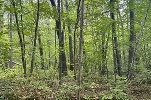 Xxx Lake Camile Rd, Cushing Township, MN 56443 - Photo 1