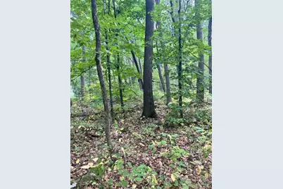 Xxx Cedar Rd/Marble Dr, Cushing Township, MN 56443 - Photo 1