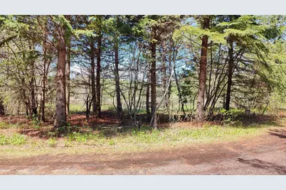 80086 Gruban Circle, Tower, MN 55790 - Photo 3