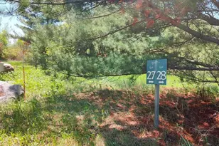 88034 Sweet Fern Loop, Tower, MN 55790 - Photo 1