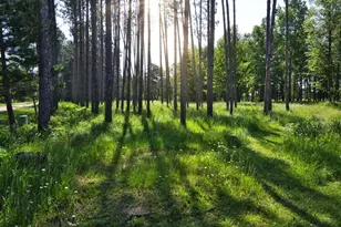 24147 Maple Dr W, Bovey, MN 55709 - Photo 49