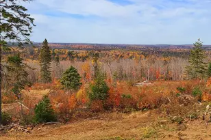 5241 Hut Two Rd, Finland, MN 55603 - Photo 17