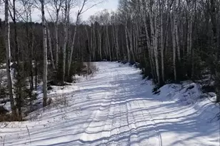 5241 Hut Two Rd, Finland, MN 55603 - Photo 7