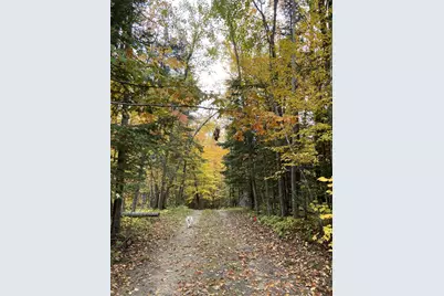 31149 County Road 40, Effie, MN 56639 - Photo 33