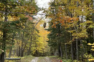 31149 Co Rd 40, Effie, MN 56639 - Photo 33