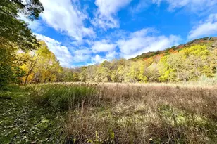 28589 Lake Ave Way, Frontenac, MN 55026 - Photo 61