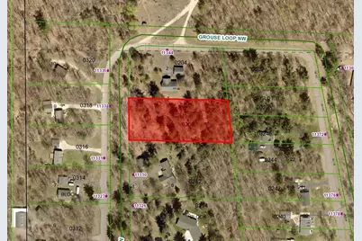 Tbd NW Grouse Loop, Walker, MN 56484 - Photo 1