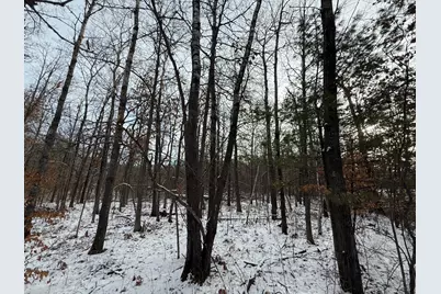 Lot 25 County Rd 11, Breezy Point, MN 56472 - Photo 3