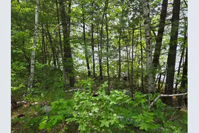 Tbd Andrusia Road SE #Lot 4, Block 1, Cass Lake, MN 56633 - Photo 15