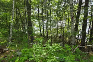 Tbd Andrusia Road SE, Cass Lake, MN 56633 - Photo 15