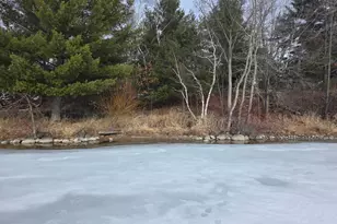 Tbd Andrusia Road SE, Cass Lake, MN 56633 - Photo 29