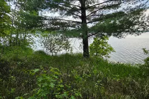 Tbd Andrusia Road SE, Cass Lake, MN 56633 - Photo 9