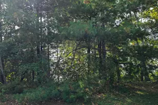 Tbd Andrusia Road SE, Cass Lake, MN 56633 - Photo 15