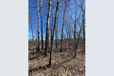 46962 Parcel B 269th Avenue, Laporte, MN 56461 - Photo 1