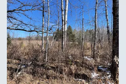 46962 Parcel B 269th Avenue, Laporte, MN 56461 - Photo 5