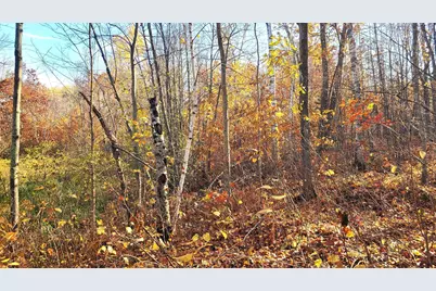 Tbd US Hwy 77, Minong, WI 54859 - Photo 5