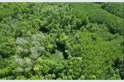 Tbd US Hwy 77, Minong, WI 54859 - Photo 3