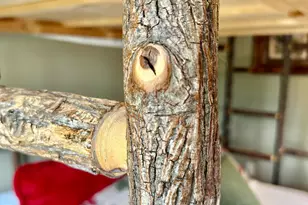 6946 Beach View Ln NW, Walker, MN 56484 - Photo 45