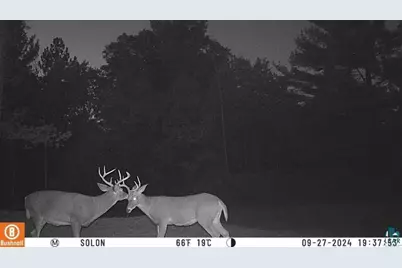 8888 E Baldwin Avenue, Solon Springs, WI 54873 - Photo 11