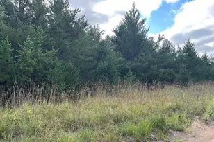 1707 Hassman Hill Tract C Road SW, Pine River, MN 56474 - Photo 1