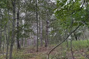 Lot 2 Lever Street NE, Isanti, MN 55040 - Photo 1