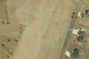 913 14th St NE, Montgomery, MN 56069 - Photo 1