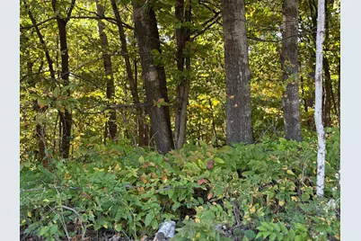 44015 100th Avenue, Brockway Township, MN 56340 - Photo 17