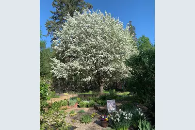 8639 S Strand Lake Road, Cotton, MN 55724 - Photo 33