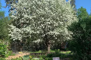 8639 S Strand Lake Rd, Cotton, MN 55724 - Photo 33