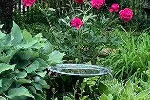 8639 S Strand Lake Rd, Cotton, MN 55724 - Photo 45