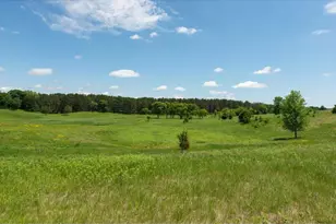 167 Osprey Ln, Marine on Saint Croix, MN 55047 - Photo 7