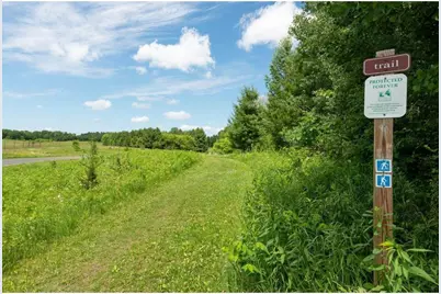 167 Osprey Lane, Marine on Saint Croix, MN 55047 - Photo 9