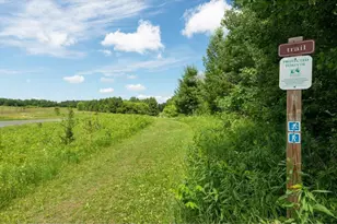 167 Osprey Ln, Marine on Saint Croix, MN 55047 - Photo 9