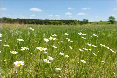 167 Osprey Lane, Marine on Saint Croix, MN 55047 - Photo 3