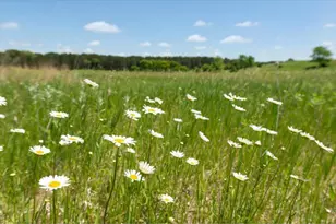 167 Osprey Ln, Marine on Saint Croix, MN 55047 - Photo 3