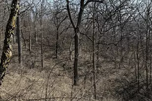 27466 County 5 Blvd, Red Wing, MN 55066 - Photo 45