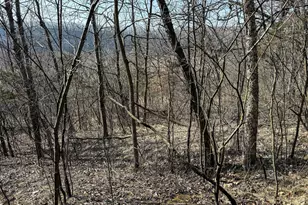 27466 County 5 Blvd, Red Wing, MN 55066 - Photo 39