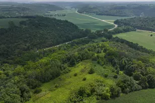 27466 County 5 Blvd, Red Wing, MN 55066 - Photo 11