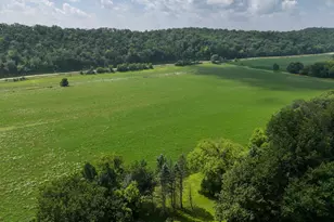 27466 County 5 Blvd, Red Wing, MN 55066 - Photo 7