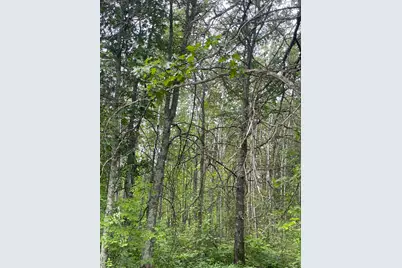 Lot 4 Patriot Ave, Pequot Lakes, MN 56472 - Photo 5