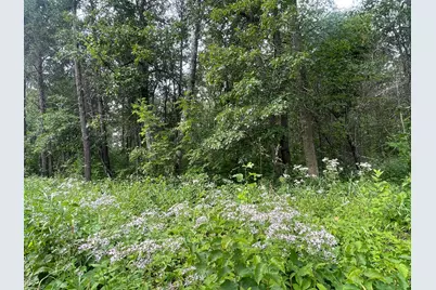 Lot 4 Patriot Ave, Pequot Lakes, MN 56472 - Photo 3