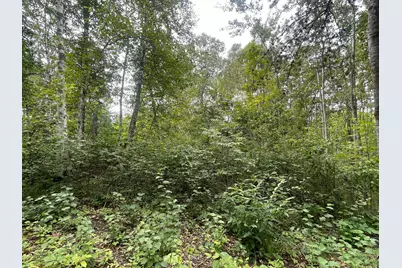 Lot 1 Patriot Ave, Pequot Lakes, MN 56472 - Photo 1