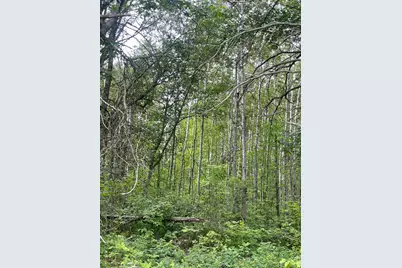 Lot 2 Patriot Ave, Pequot Lakes, MN 56472 - Photo 3