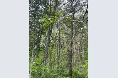 Lot 2 Patriot Ave, Pequot Lakes, MN 56472 - Photo 1