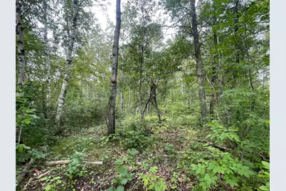Lot 2 Patriot Ave, Pequot Lakes, MN 56472 - Photo 5