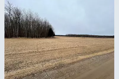 Tract A County 7 NE, Longville, MN 56655 - Photo 5